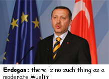 Erdogan: No swine can be moderate 